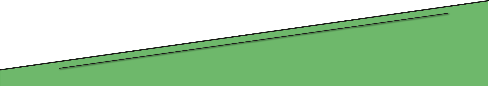 Footer Image